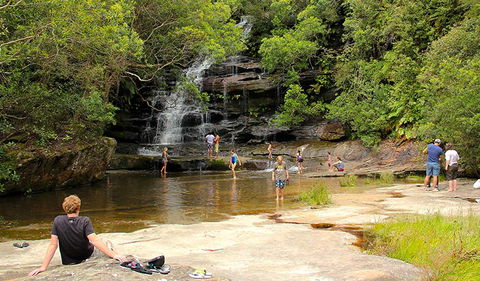 Somersby Falls Picnic Area - C Tourism 0