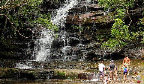 Somersby Falls Picnic Area - C Tourism 2