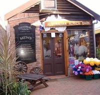 Australian Alpaca Barn - Morpeth - C Tourism