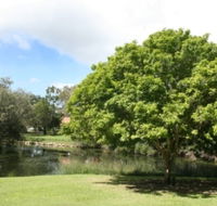 Hervey Bay Botanic Gardens - C Tourism