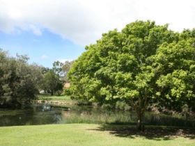 Hervey Bay Botanic Gardens - C Tourism 0