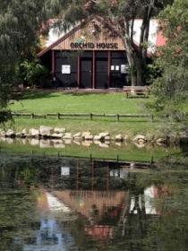 Hervey Bay Botanic Gardens - C Tourism 1