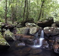 Kangaroo River - C Tourism