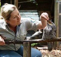 Walkabout Creek - C Tourism