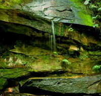 Strickland State Forest - C Tourism