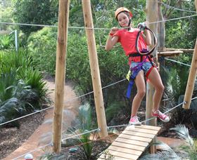 Urban Jungle Adventure Park - C Tourism 0