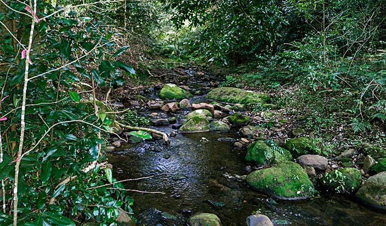 Macquarie Pass NSW C Tourism