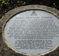 Anzac Memorial Avenue Redcliffe - C Tourism