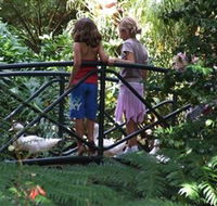 EG Waterhouse National Camellia Garden - C Tourism