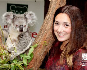 Blackbutt Reserve - C Tourism 0