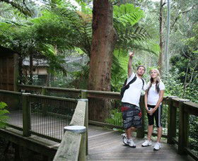 Blackbutt Reserve - C Tourism 1