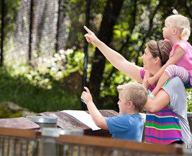 Blackbutt Reserve - C Tourism 4