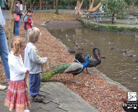 Blackbutt Reserve - C Tourism 5