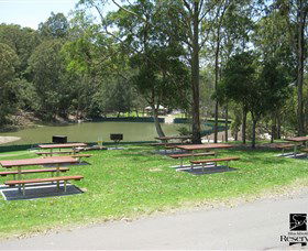 Blackbutt Reserve - C Tourism 7