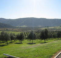 Hastings Valley Olives - C Tourism