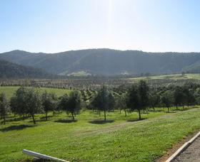 Hastings Valley Olives - C Tourism 0