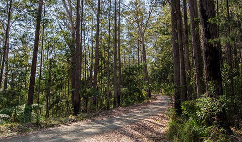 Hastings Forest Way Touring Route - C Tourism 1