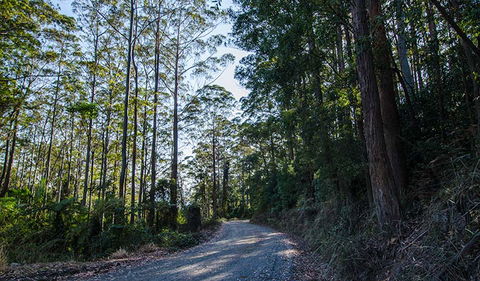 Hastings Forest Way Touring Route - C Tourism 3