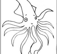 Squid Studio - C Tourism