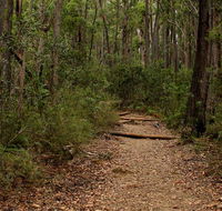 Pigeon House Mountain Didthul walking track - C Tourism