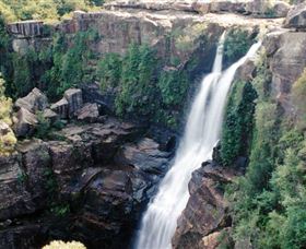 Minnamurra Rainforest Centre: Budderoo National Park - C Tourism 0