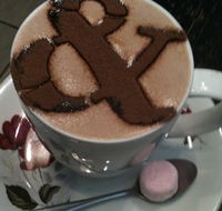 Ampersand Caf Bookstore Paddington - C Tourism