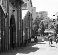 Centennial Stables - C Tourism