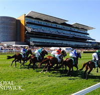 Royal Randwick Racecourse - C Tourism