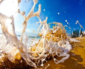 Saltmotion Gallery - C Tourism 1