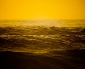 Saltmotion Gallery - C Tourism 2