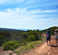 Moonee Beach trail - C Tourism