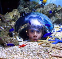 Sea Life Sunshine Coast - C Tourism