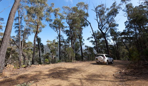 Wadbilliga Road Drive - C Tourism 0