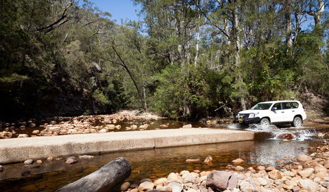 Wadbilliga Road Drive - C Tourism 2