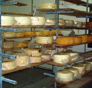 Harvey Cheese - C Tourism