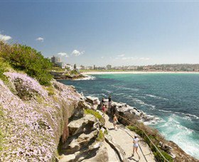 Bondi To Coogee Coastal Walk - C Tourism 3