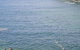 Gordons Bay - thumb 0