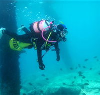 Shellharbour Scuba  Photography Centre - C Tourism