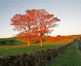 Saddleback Mountain Lookout - C Tourism 2