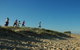 Newcastle Beach - thumb 0