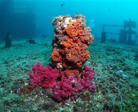 HMAS Brisbane Dive Site - C Tourism 0