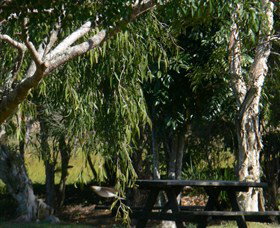 Casino NSW C Tourism