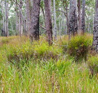 Narrawallee Inlet walking track - C Tourism