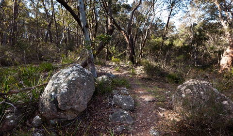 Wadbilliga National Park - C Tourism 2