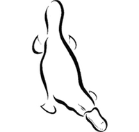 Platypus Gallery - C Tourism