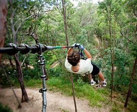 TreeTop Challenge - C Tourism 0