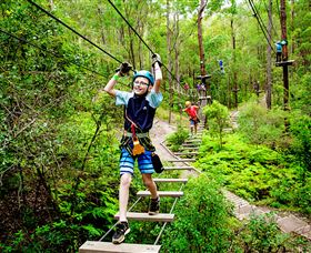 TreeTop Challenge - C Tourism 1