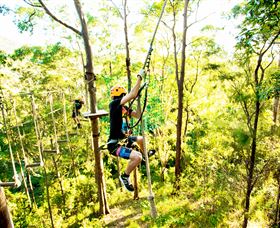 TreeTop Challenge - C Tourism 3
