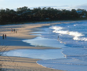 Mollymook Beach - C Tourism 1