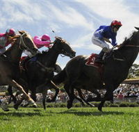 Moruya Racecourse - C Tourism